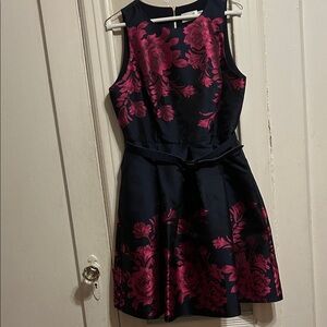 Eliza J Black and Pink Floral Skater Dress